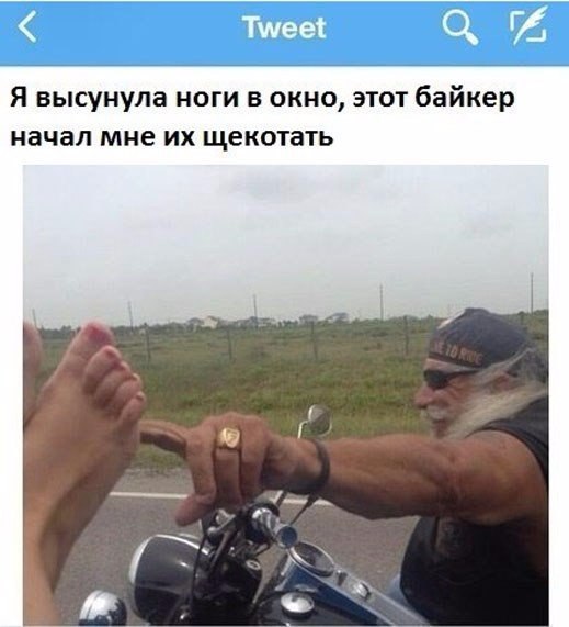 щекатун.jpg