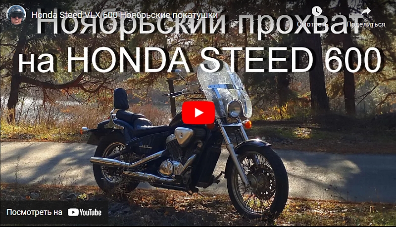 Honda Steed VLX 600_1.jpg